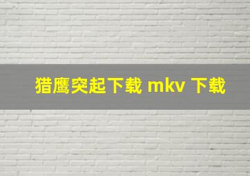 猎鹰突起下载 mkv 下载